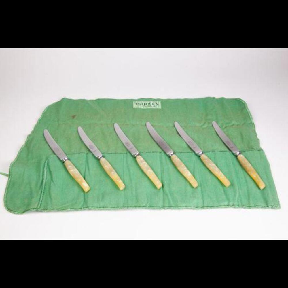 Vintage Set of 6 Everbrite Knives with Faux Mother of Pearl Handles